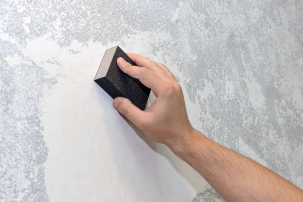 Best Environmental Consulting for Mold Prevention  in Ada, MN