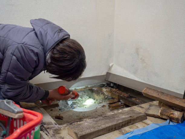 Best Airborne Mold Testing  in Ada, MN