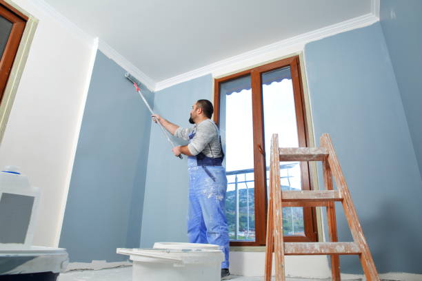 Best Water Damage & Mold Remediation  in Ada, MN