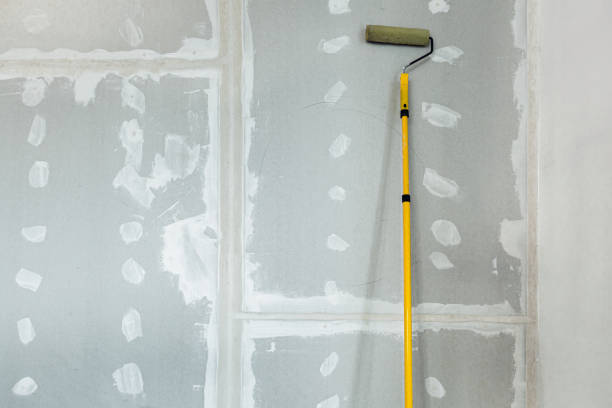 Dehumidification Services in Ada, MN